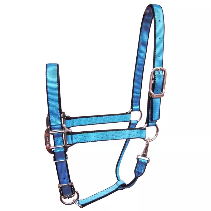 1" Quality Nylon Halters with Adjustable Chin Strap & Snap Neon Blue