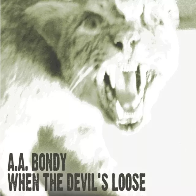 A.A. Bondy - When The Devil's Loose - CD