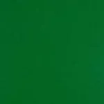Et Cetera Papers Colorplan 12X12 Cardstock 100 lbs - 10 Sheets -lockwood green