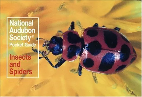 National Audubon Society Pocket Guide: Insects and Spiders - Book